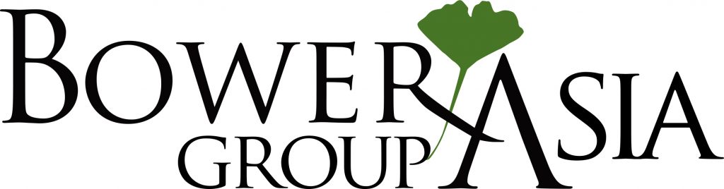 Bower Group Asia Logo